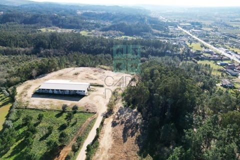 Helårsgrund i Pombal, Leiria, Pombal - € 1.200.000 | Ref: TER_4032a - foto 12