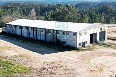 Helårsgrund i Pombal, Leiria, Pombal - € 1.200.000 | Ref: TER_4032a - foto 13