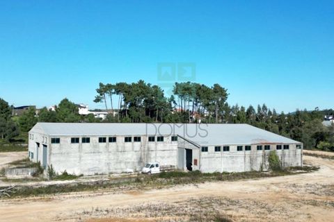 Helårsgrund i Pombal, Leiria, Pombal - € 1.200.000 | Ref: TER_4032a - foto 14