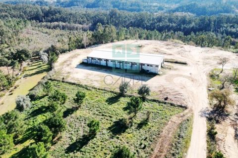 Helårsgrund i Pombal, Leiria, Pombal - € 1.200.000 | Ref: TER_4032a - foto 15