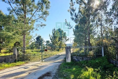 Helårsgrund i Pombal, Leiria, Pombal - € 1.200.000 | Ref: TER_4032a - foto 16