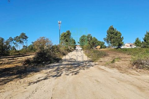 Helårsgrund i Pombal, Leiria, Pombal - € 1.200.000 | Ref: TER_4032a - foto 17