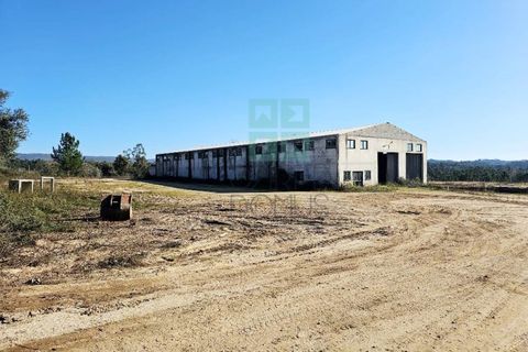 Helårsgrund i Pombal, Leiria, Pombal - € 1.200.000 | Ref: TER_4032a - foto 18