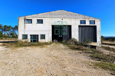 Helårsgrund i Pombal, Leiria, Pombal - € 1.200.000 | Ref: TER_4032a - foto 19