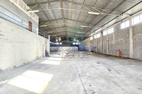 Helårsgrund i Pombal, Leiria, Pombal - € 1.200.000 | Ref: TER_4032a - foto 20