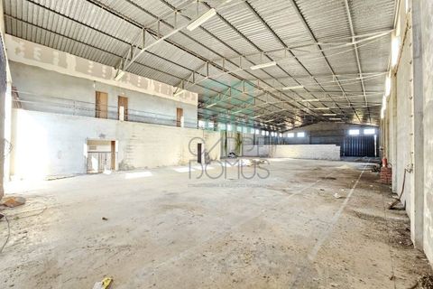 Helårsgrund i Pombal, Leiria, Pombal - € 1.200.000 | Ref: TER_4032a - foto 21