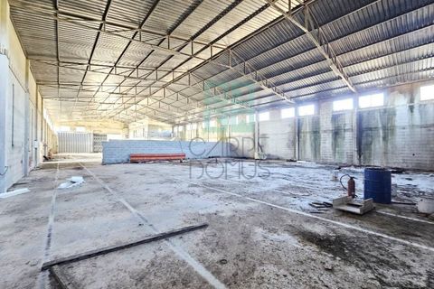 Helårsgrund i Pombal, Leiria, Pombal - € 1.200.000 | Ref: TER_4032a - foto 22