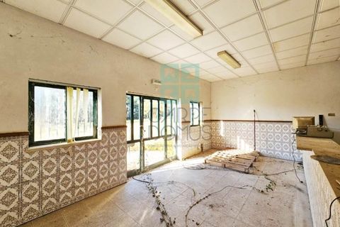 Helårsgrund i Pombal, Leiria, Pombal - € 1.200.000 | Ref: TER_4032a - foto 24