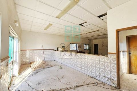 Helårsgrund i Pombal, Leiria, Pombal - € 1.200.000 | Ref: TER_4032a - foto 25