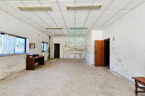 Helårsgrund i Pombal, Leiria, Pombal - € 1.200.000 | Ref: TER_4032a - foto 27