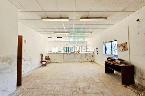 Helårsgrund i Pombal, Leiria, Pombal - € 1.200.000 | Ref: TER_4032a - foto 28