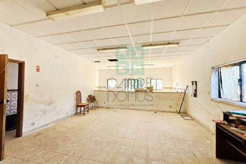 Helårsgrund i Pombal, Leiria, Pombal - € 1.200.000 | Ref: TER_4032a - foto 29