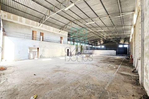 Helårsgrund i Pombal, Leiria, Pombal - € 1.200.000 | Ref: TER_4032a - foto 32
