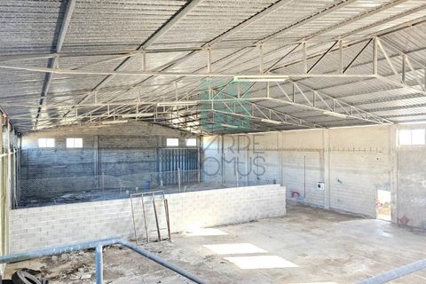 Helårsgrund i Pombal, Leiria, Pombal - € 1.200.000 | Ref: TER_4032a - foto 34