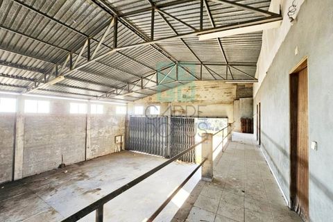 Helårsgrund i Pombal, Leiria, Pombal - € 1.200.000 | Ref: TER_4032a - foto 35