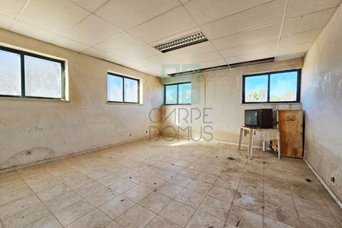 Helårsgrund i Pombal, Leiria, Pombal - € 1.200.000 | Ref: TER_4032a - foto 36
