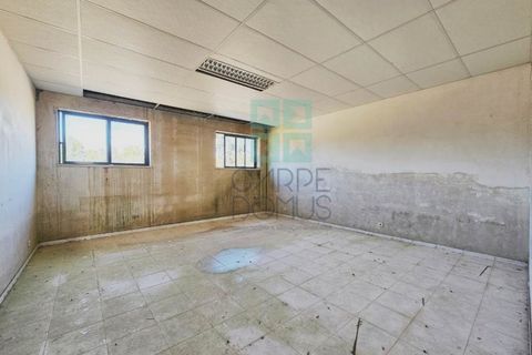 Helårsgrund i Pombal, Leiria, Pombal - € 1.200.000 | Ref: TER_4032a - foto 37