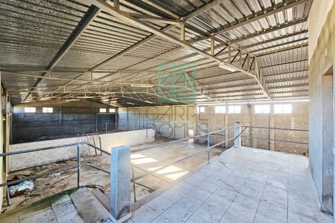 Helårsgrund i Pombal, Leiria, Pombal - € 1.200.000 | Ref: TER_4032a - foto 38