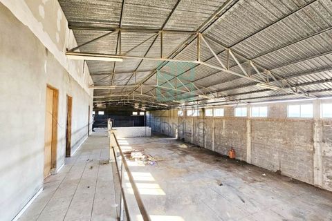 Helårsgrund i Pombal, Leiria, Pombal - € 1.200.000 | Ref: TER_4032a - foto 39