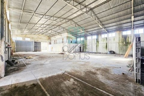 Helårsgrund i Pombal, Leiria, Pombal - € 1.200.000 | Ref: TER_4032a - foto 41
