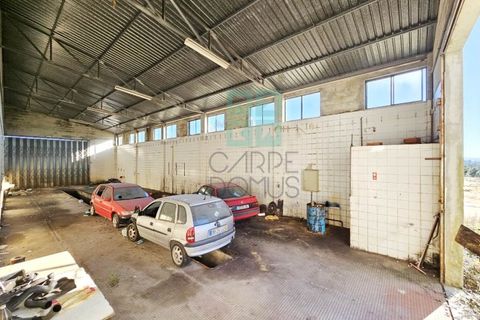 Helårsgrund i Pombal, Leiria, Pombal - € 1.200.000 | Ref: TER_4032a - foto 43
