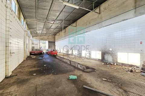 Helårsgrund i Pombal, Leiria, Pombal - € 1.200.000 | Ref: TER_4032a - foto 44