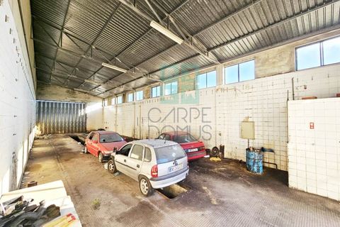 Helårsgrund i Pombal, Leiria, Pombal - € 1.200.000 | Ref: TER_4032a - foto 46