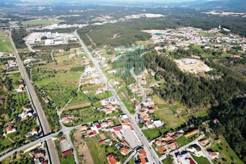 Helårsgrund i Pombal, Leiria, Pombal - € 1.200.000 | Ref: TER_4032a - foto 47