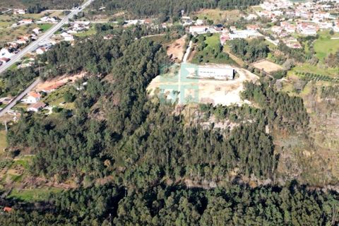 Helårsgrund i Pombal, Leiria, Pombal - € 1.200.000 | Ref: TER_4032a - foto 48