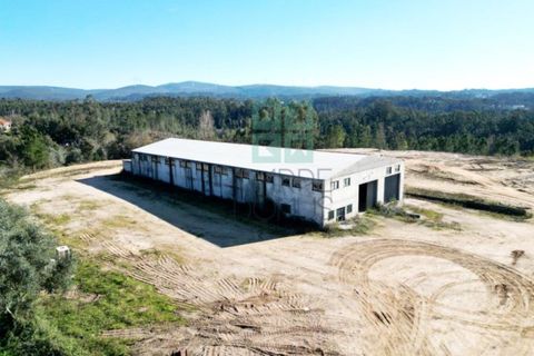 Helårsgrund i Pombal, Leiria, Pombal - € 1.200.000 | Ref: TER_4032a - foto 49