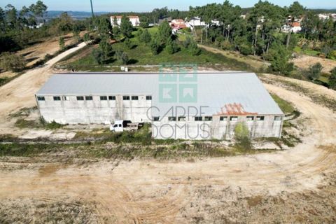 Helårsgrund i Pombal, Leiria, Pombal - € 1.200.000 | Ref: TER_4032a - foto 50