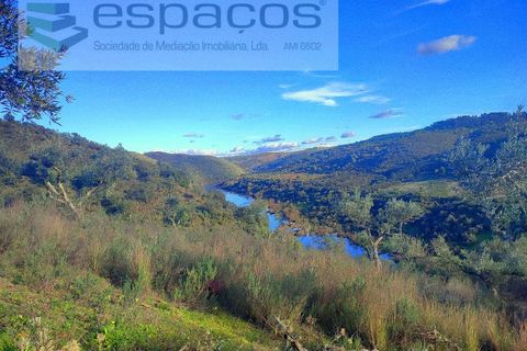 Helårsgrund i Perais, Castelo Branco, Perais - € 15.000 | Ref: 5017/RR_EM - foto 1