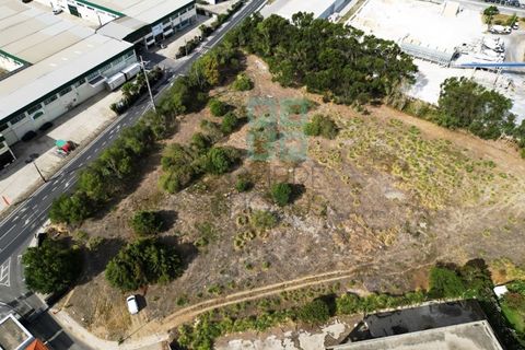 Grond in Sintra, Lisbon, Sintra - € 4.215.000 | Ref: SÒL_4269 - foto 6