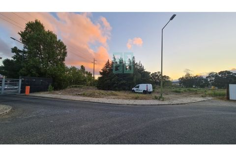 Grond in Sintra, Lisbon, Sintra - € 4.215.000 | Ref: SÒL_4269 - foto 14