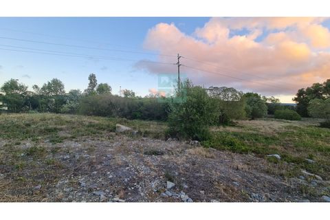 Grond in Sintra, Lisbon, Sintra - € 4.215.000 | Ref: SÒL_4269 - foto 15
