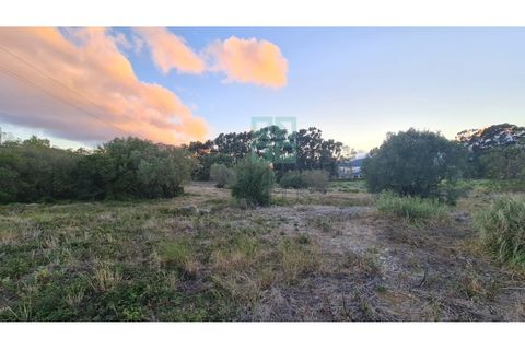 Grond in Sintra, Lisbon, Sintra - € 4.215.000 | Ref: SÒL_4269 - foto 16