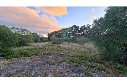 Grond in Sintra, Lisbon, Sintra - € 4.215.000 | Ref: SÒL_4269 - foto 17