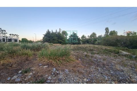 Grond in Sintra, Lisbon, Sintra - € 4.215.000 | Ref: SÒL_4269 - foto 19