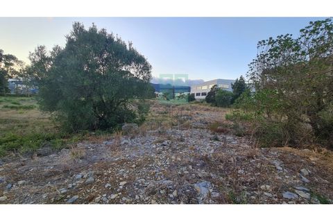 Grond in Sintra, Lisbon, Sintra - € 4.215.000 | Ref: SÒL_4269 - foto 20