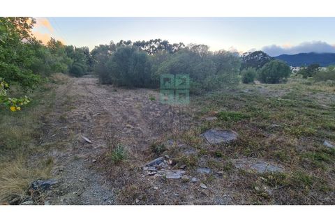 Grond in Sintra, Lisbon, Sintra - € 4.215.000 | Ref: SÒL_4269 - foto 21