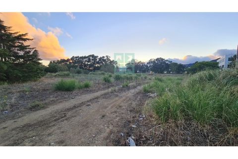 Grond in Sintra, Lisbon, Sintra - € 4.215.000 | Ref: SÒL_4269 - foto 25