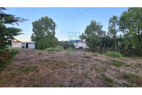 Grond in Sintra, Lisbon, Sintra - € 4.215.000 | Ref: SÒL_4269 - foto 27