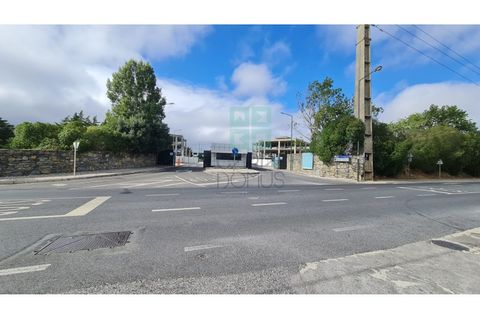Grond in Sintra, Lisbon, Sintra - € 4.215.000 | Ref: SÒL_4269 - foto 38