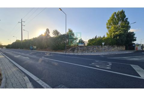 Grond in Sintra, Lisbon, Sintra - € 4.215.000 | Ref: SÒL_4269 - foto 39