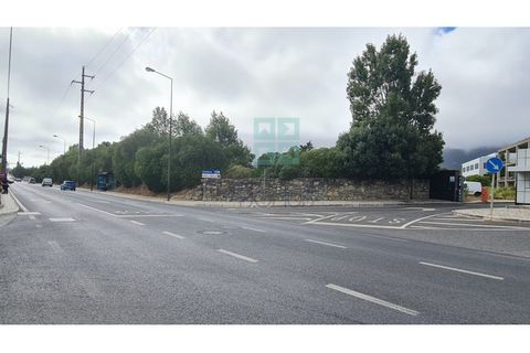 Grond in Sintra, Lisbon, Sintra - € 4.215.000 | Ref: SÒL_4269 - foto 40