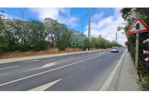 Grond in Sintra, Lisbon, Sintra - € 4.215.000 | Ref: SÒL_4269 - foto 41