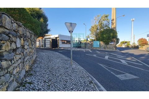 Grond in Sintra, Lisbon, Sintra - € 4.215.000 | Ref: SÒL_4269 - foto 42