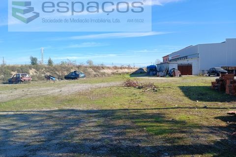 Villa en Castelo Branco, Castelo Branco, Castelo Branco - € 2.123.000 | Ref: 5731/RR_EM - photo 10