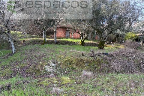 Tomt i Fundao, Castelo Branco, Fundao - € 33 000 | Ref: 5738/CP - foto 2