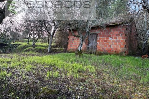 Tomt i Fundao, Castelo Branco, Fundao - € 33 000 | Ref: 5738/CP - foto 3